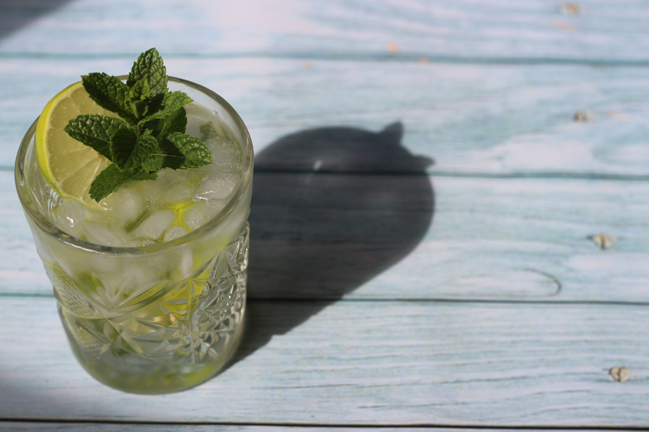 Mojito i solskin